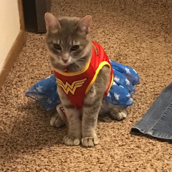 Meet your Posher, Kristina - Picture 2 of 3